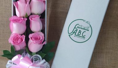 ABC 032